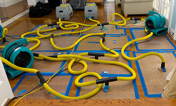 Professional Water Extraction technician working in Fanwood, NJ